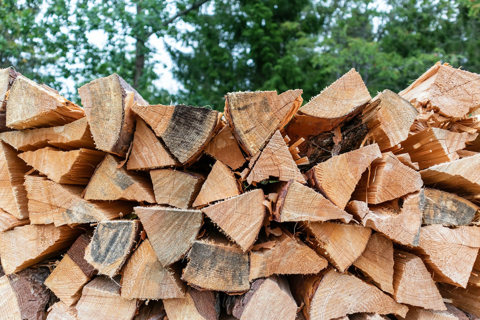 Stack of fire wood